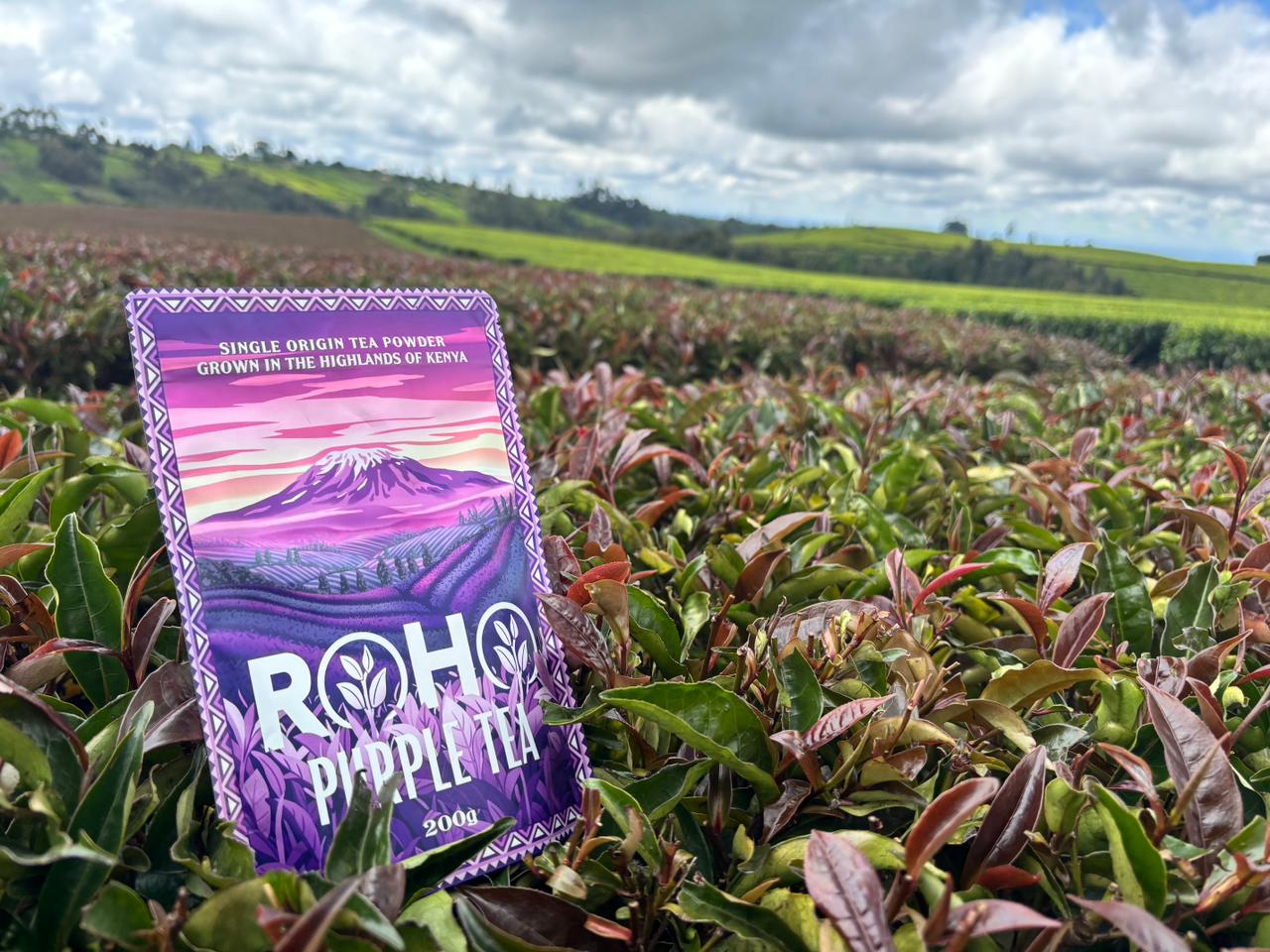 Purple Tea 1